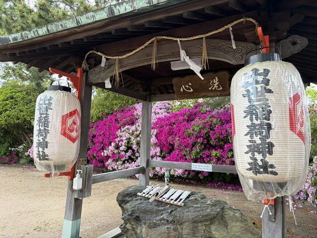 手水舎躑躅