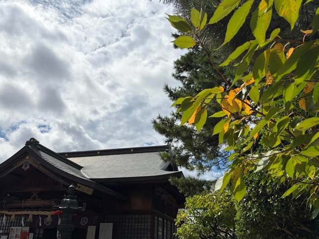 八重桜紅葉